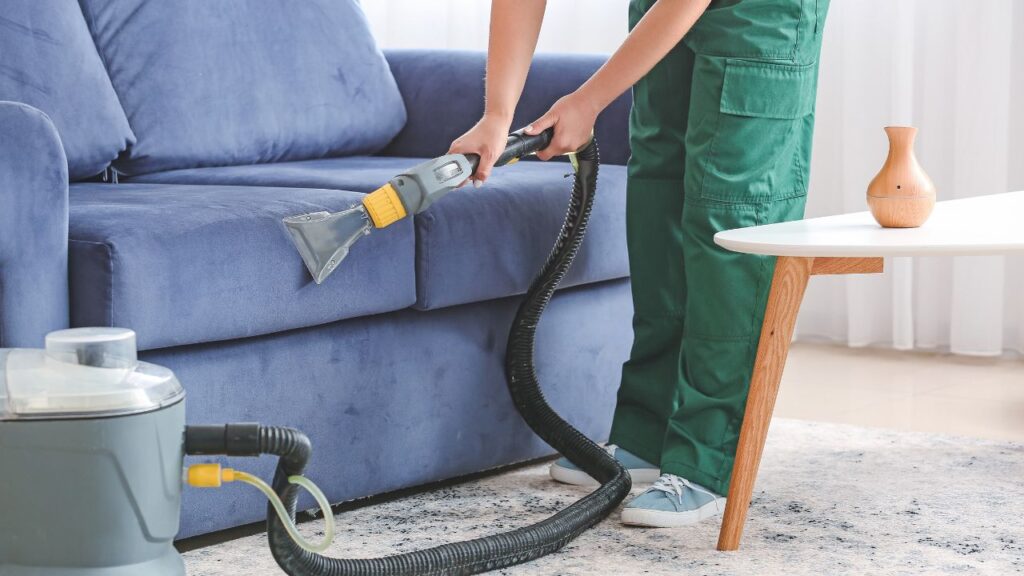 professional cleaning staff vaccuming a blue fabric couch on a living room 