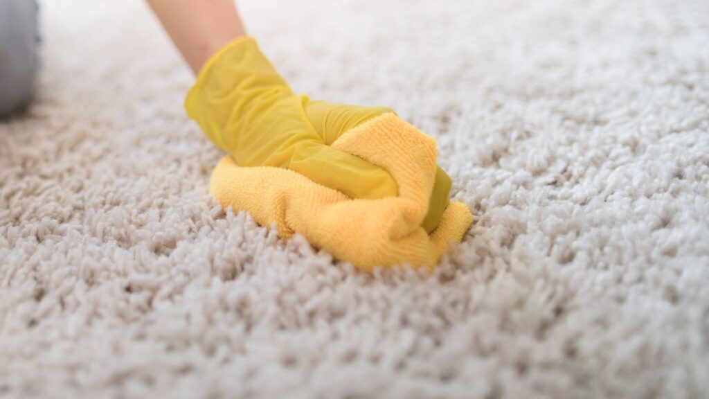 patting carpet dry with cloth