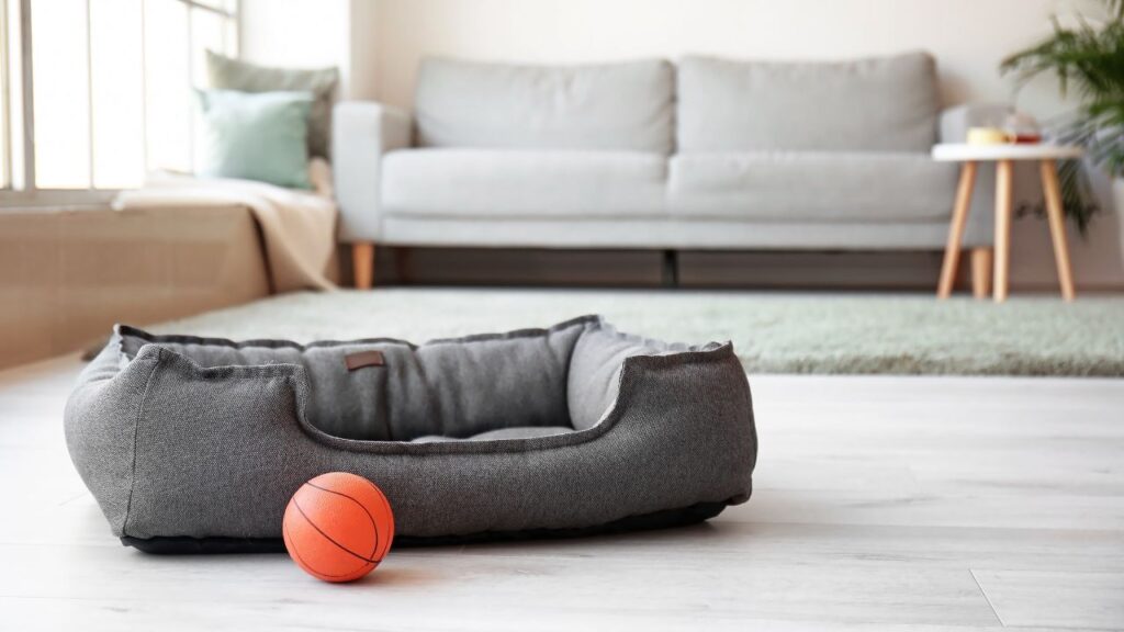 grey pet bed with an orange toy basketball in front inside an apartment with a grey couch