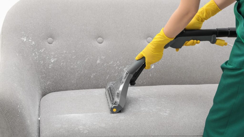 cleaning stained couch with power vacuum