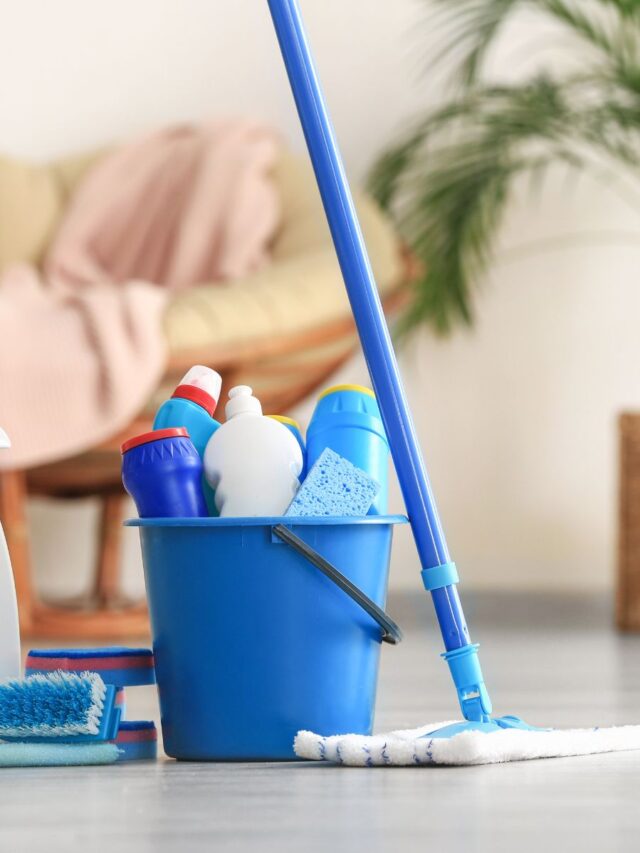 cleaning-products-and-mop-in-front-of-chair-and-vase-story-format