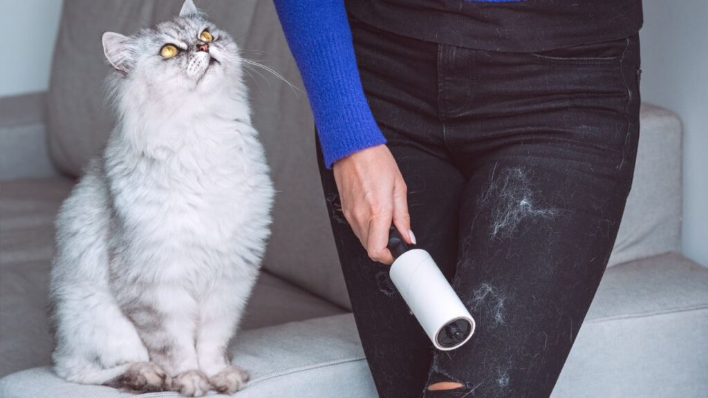 woman using lint roller on pants for cat hair