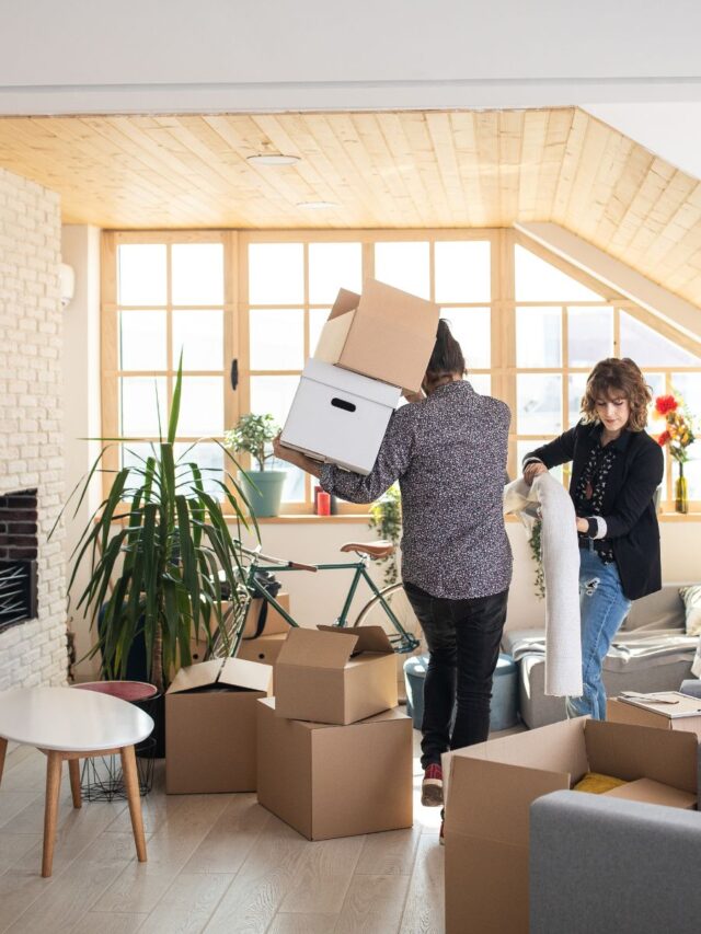 apartment-boxing-organization