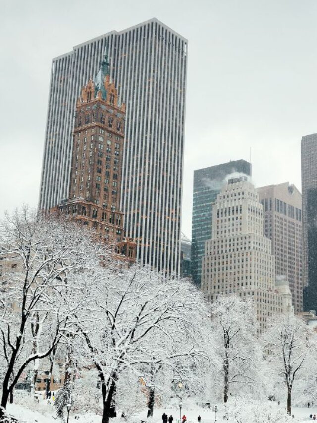 winter landscape in central park