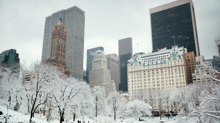 winter landscape in central park