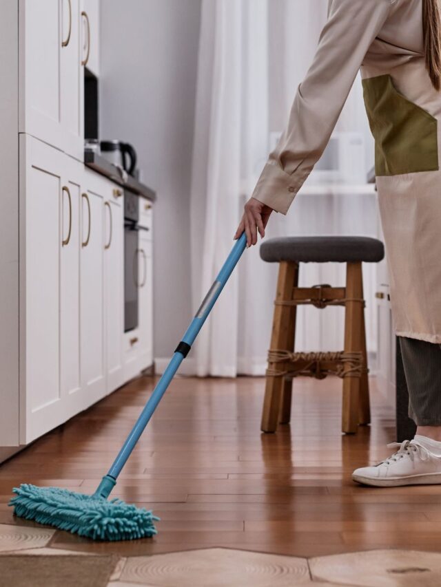 mopping-wood-apartment-floor-story-format