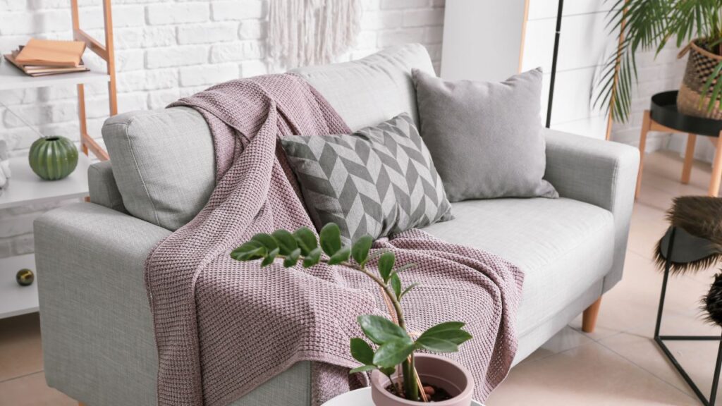 light gray fabric couch with throw pillows and blanket