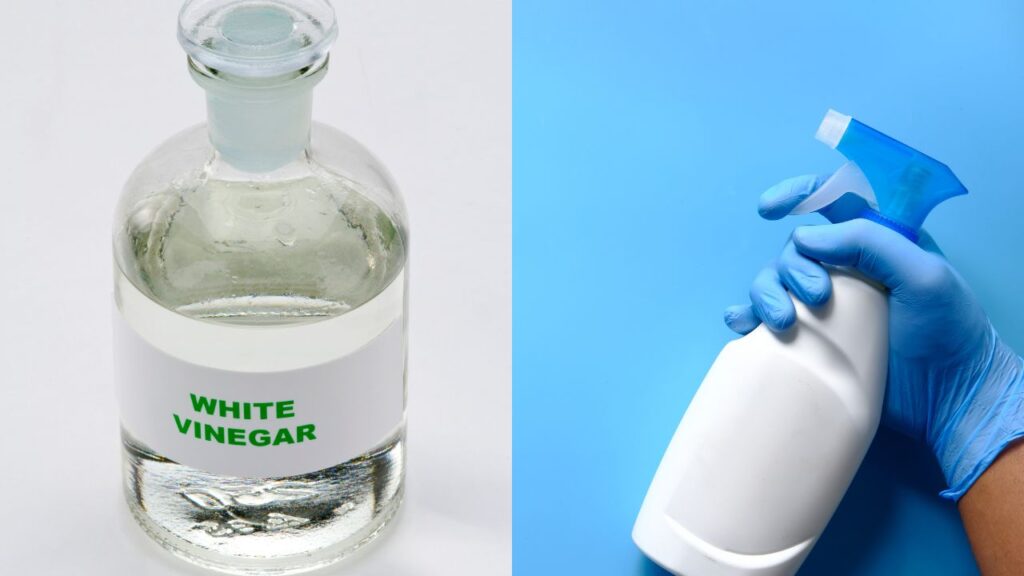 white vinegar and blue spray bottle