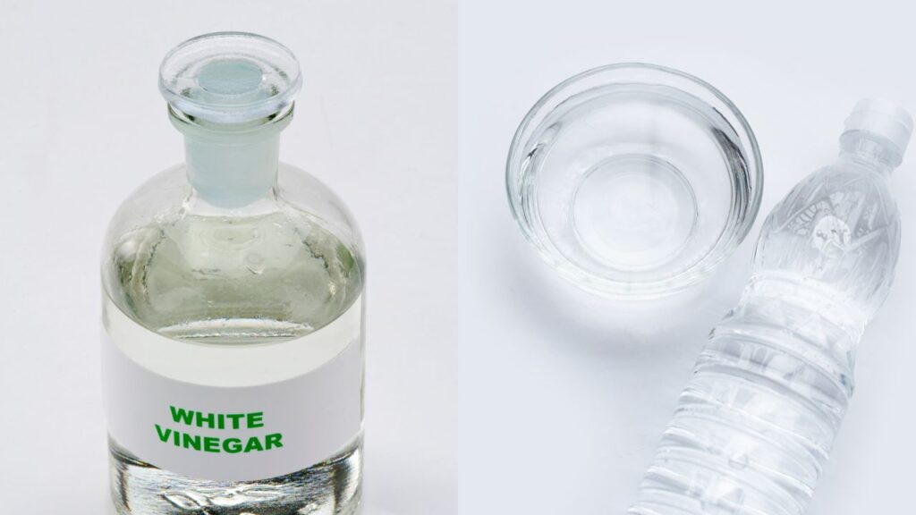 white vinegar and water