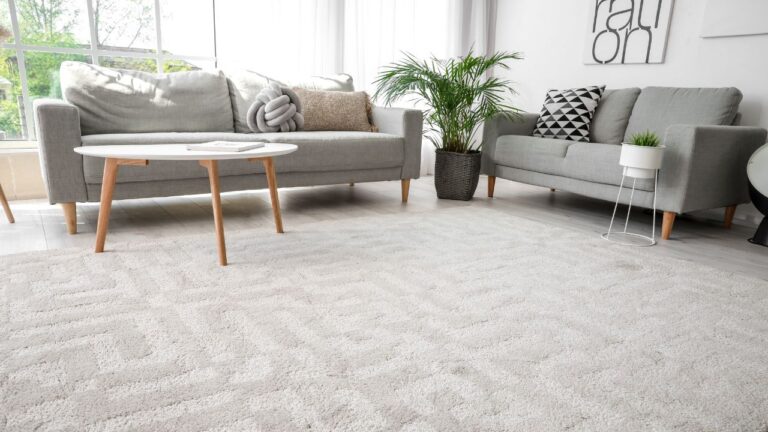 Top 11 Tips and Techniques for Apartment Carpet Cleaning