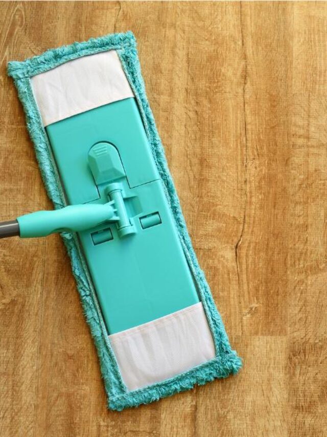 mop on a floor