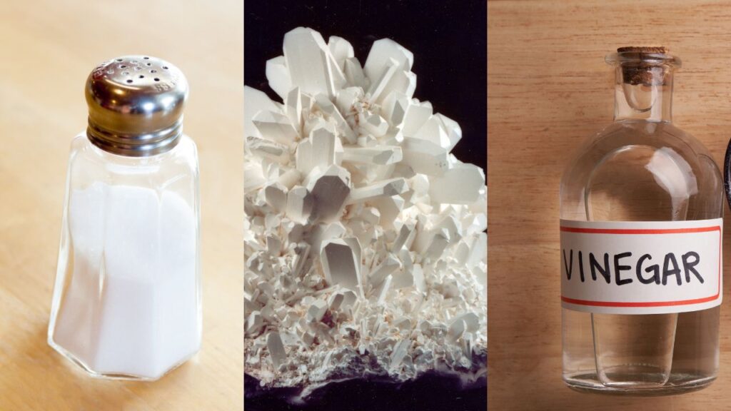 combination-of-salt-borax-vinegar