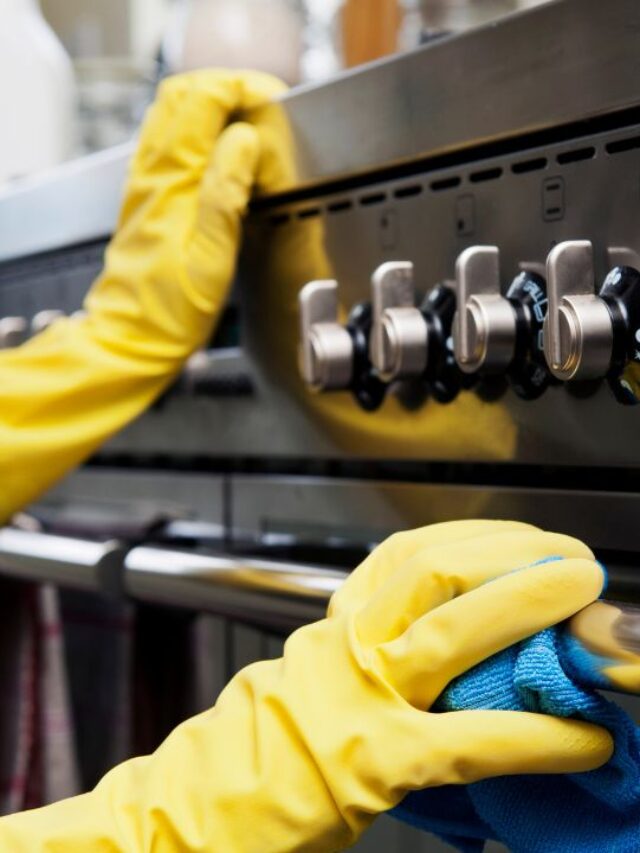 cleaning-oven-door-bars